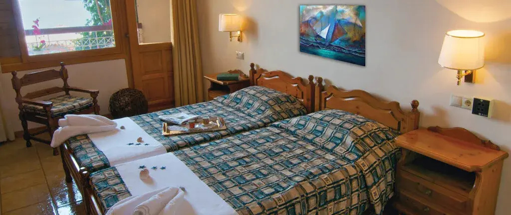 Standard Double room (twin beds)
