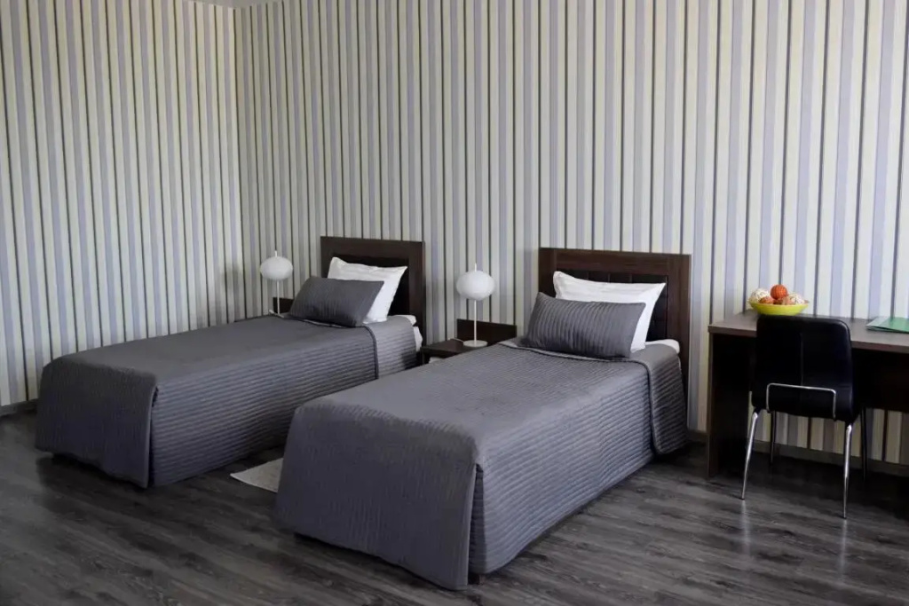 Standard - Some Rooms Do Not Have Air Conditioning Double room (twin beds)