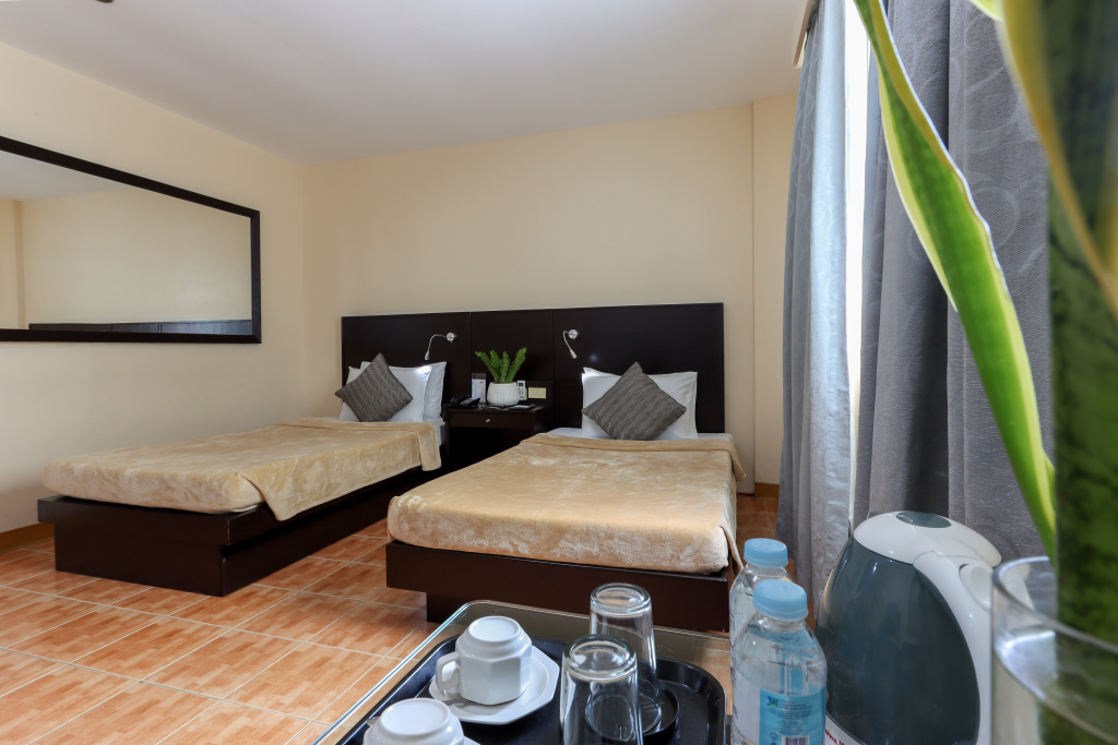 Standard Double room (twin beds)