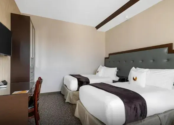 1 Bedroom Suite