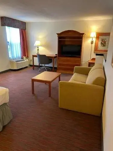 Double Suite (full double bed)