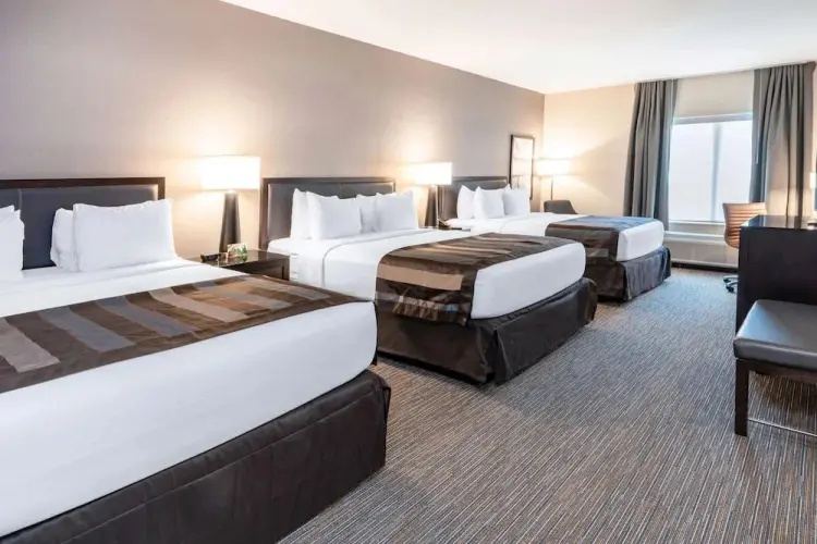 Standard Sextuple room