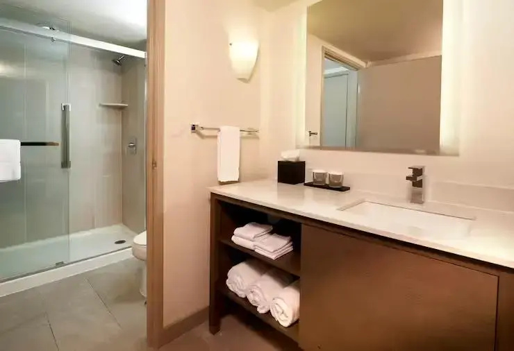 Embassy Suites by Hilton Phoenix Scottsdale - Chambres
