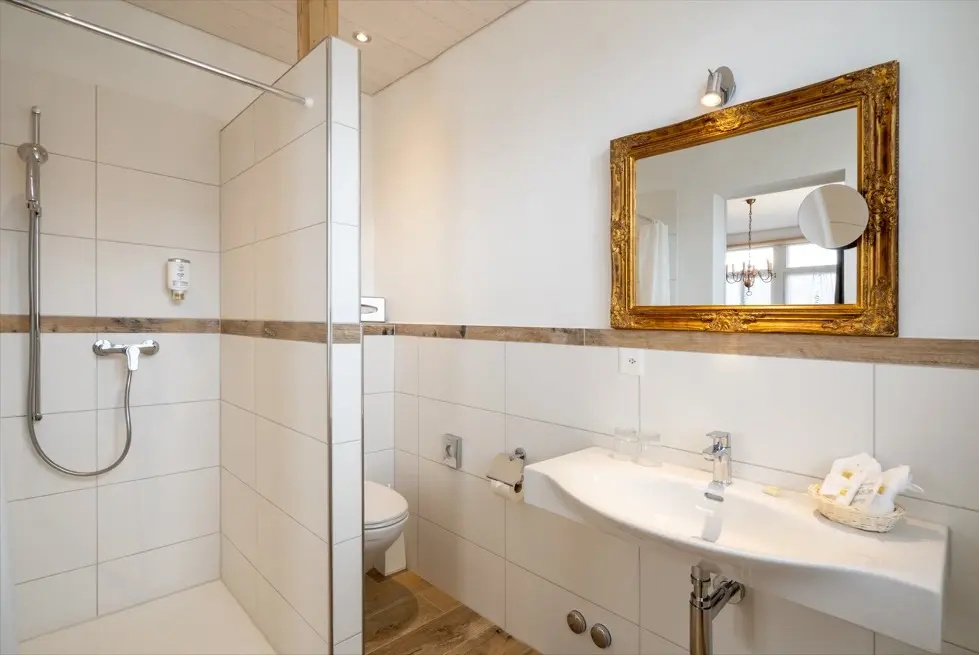 Carlton-Europe Vintage Adults Hotel - Chambres