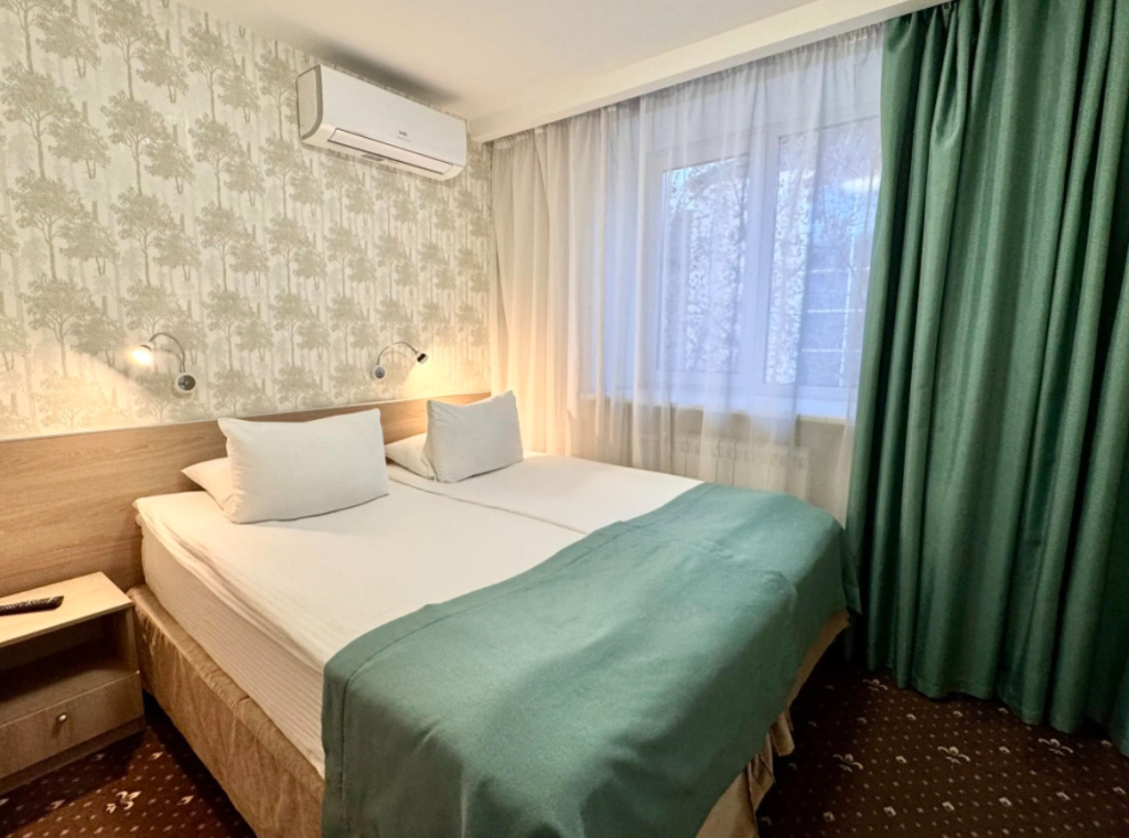 Standard Double room (twin beds)