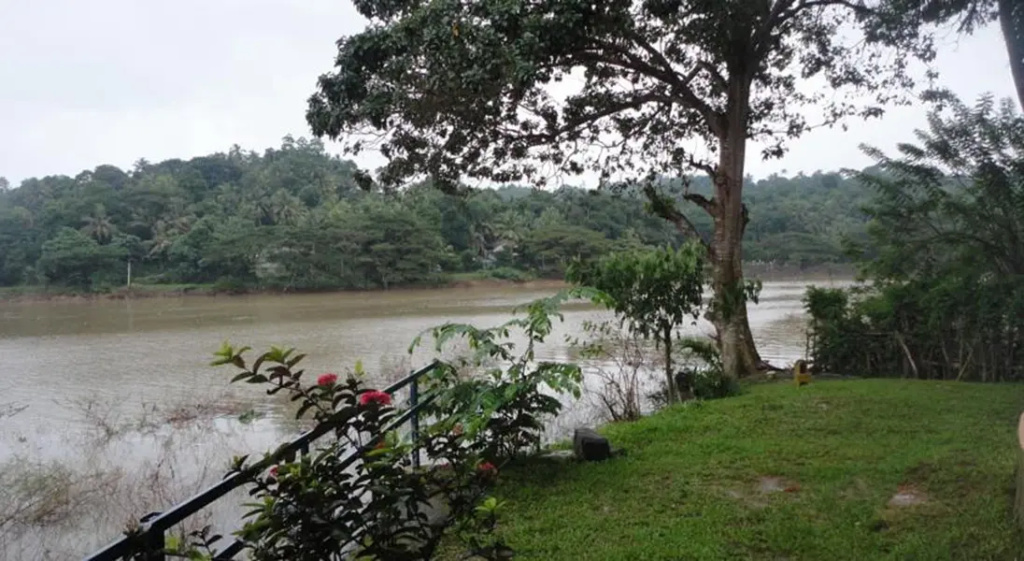 Mahaweli View Inn - Général