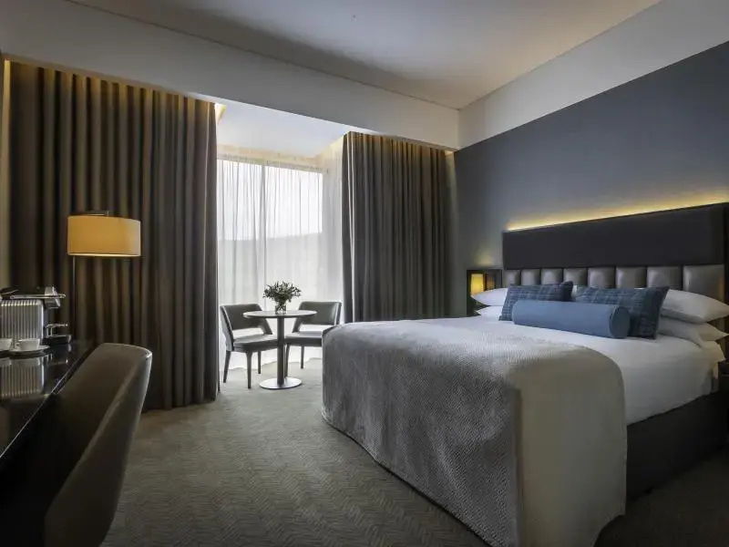 Deluxe Double room (full double bed)
