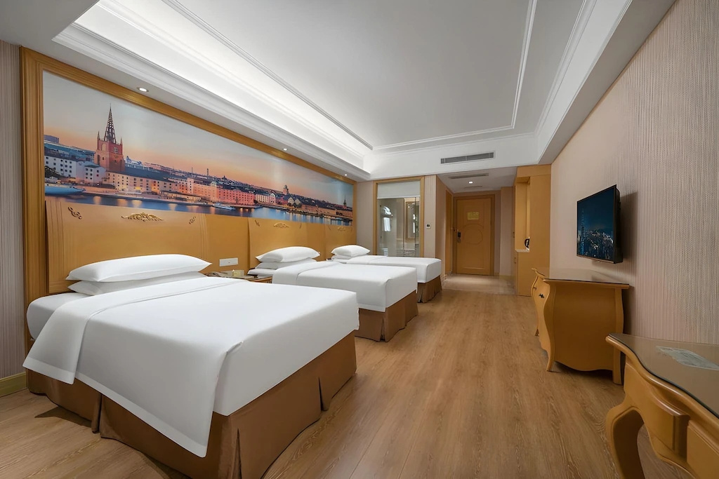 Vienna Hotel Shenzhen Qianhai Branch - Chambres