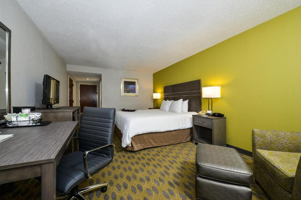 1 Bedroom Double Suite (full double bed)