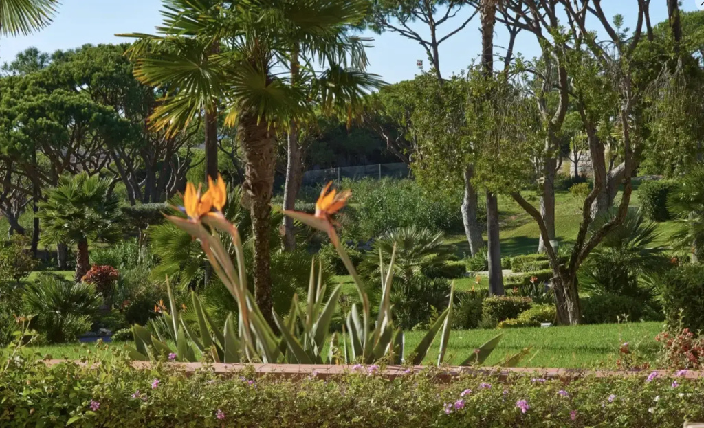 Hotel Quinta do Lago - Chambres