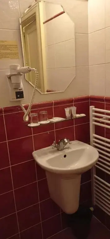 Hotel U Zlateho Jelena - Général