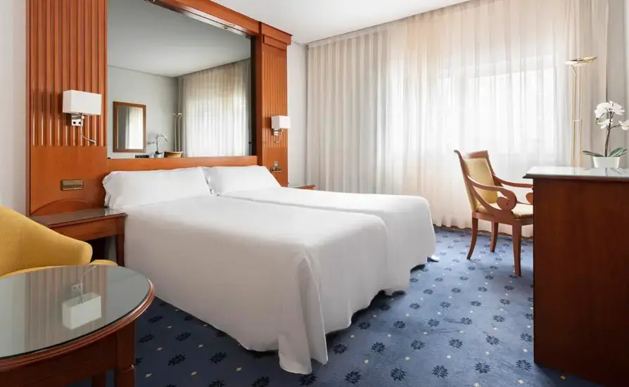 Basic Double room (twin beds)