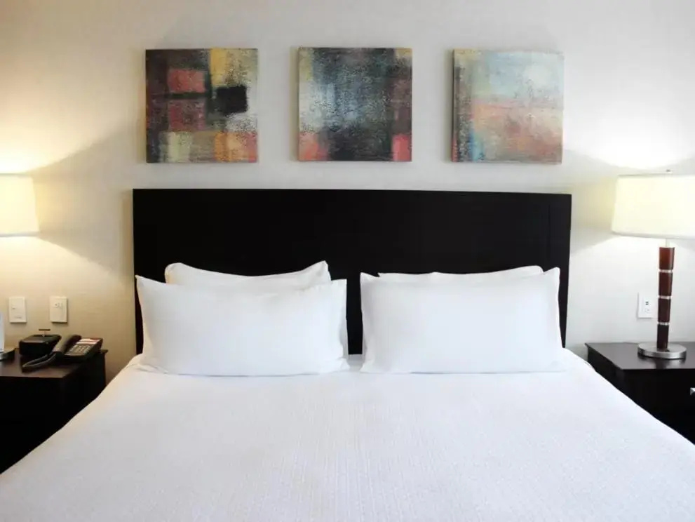 Crowne Plaza Leon by IHG - Chambres