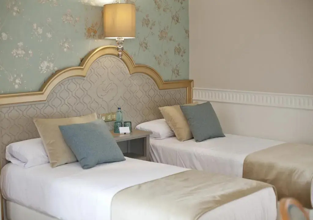Standard Double room (twin beds)