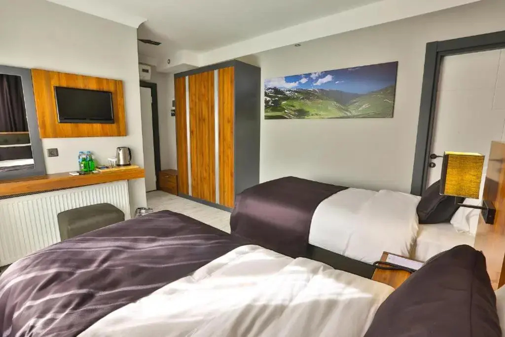 Standard Double room (twin beds)