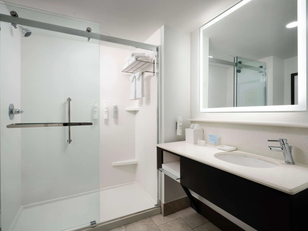 Hampton Inn & Suites Austin Downtown - Chambres