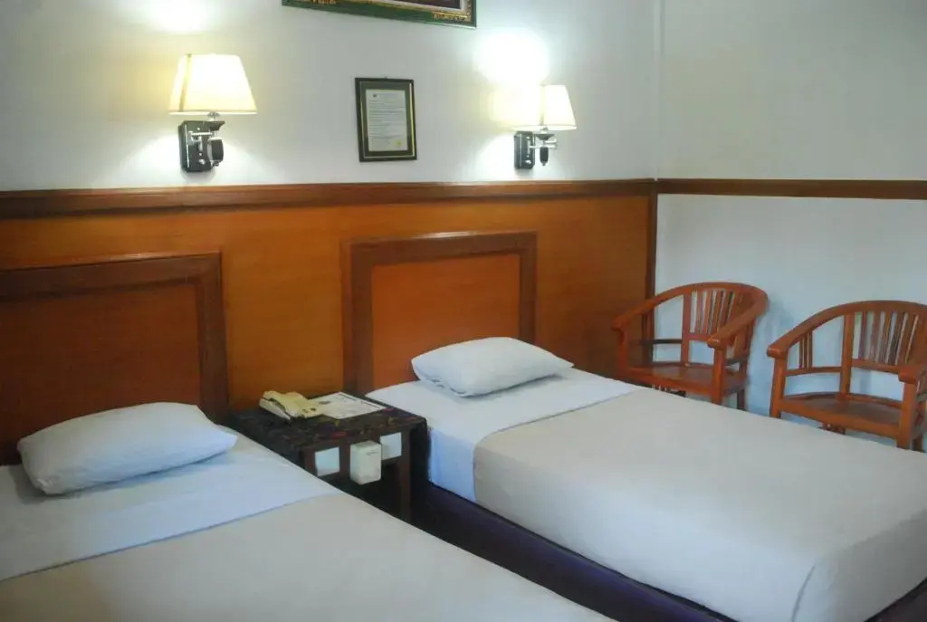 Standard Double room (twin beds)