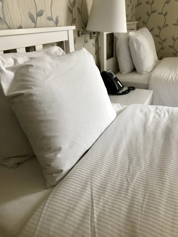 Standard Double room (twin beds)