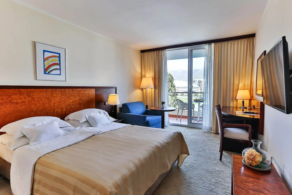 Standard Double room with park view (full double bed)