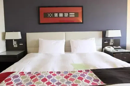 Mid Century Double room (full double bed)
