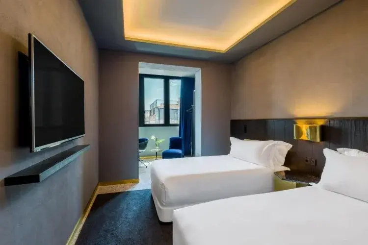 Deluxe Double room (twin beds)