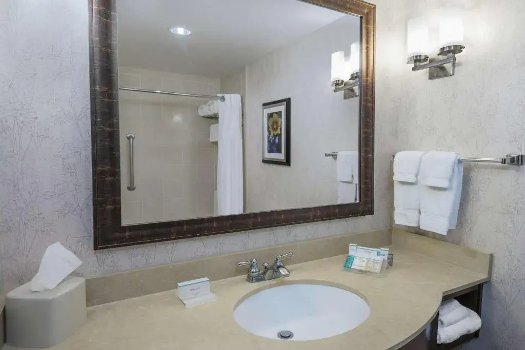 Hilton Garden Inn San Antonio At The Rim - Chambres