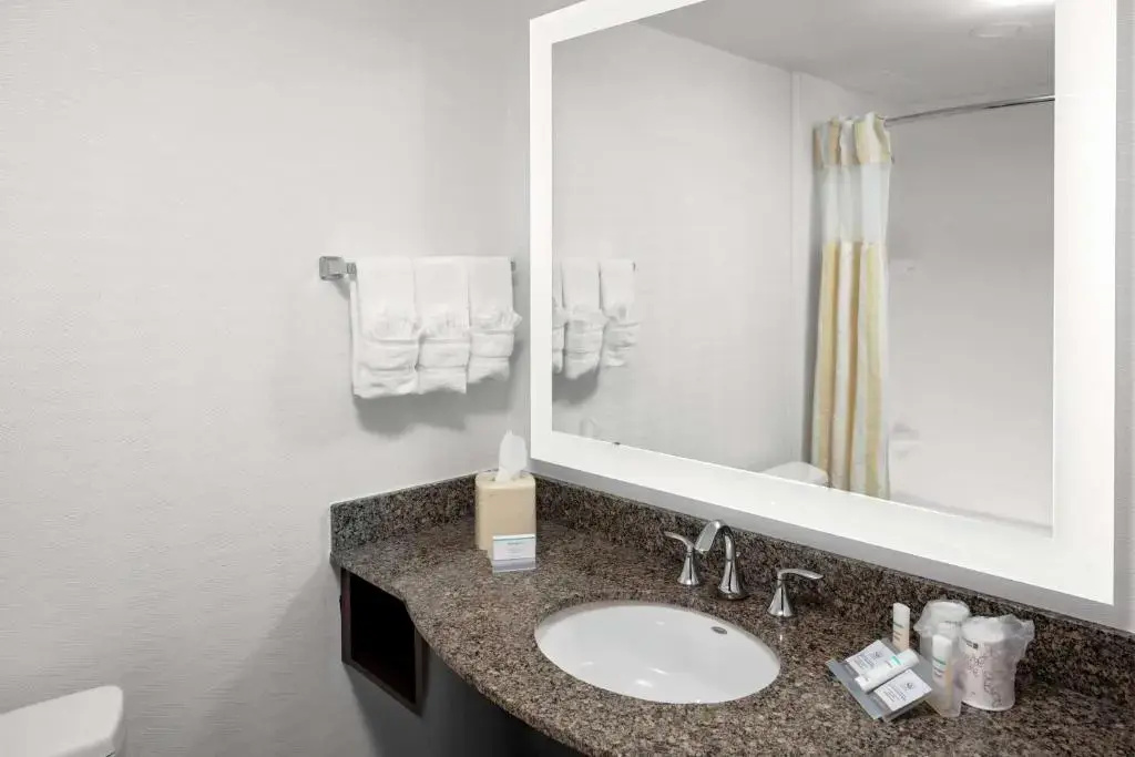 Hilton Garden Inn Atlanta Perimeter Center - Chambres