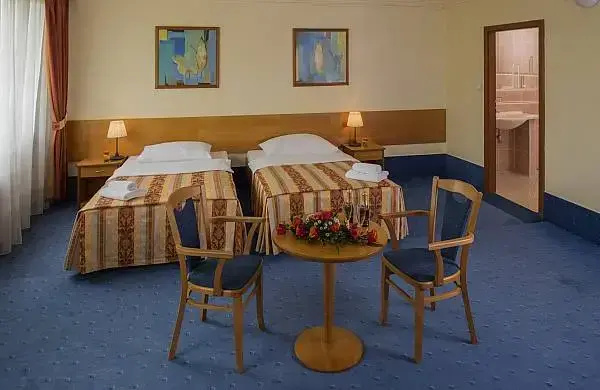 Executive Double room (twin beds)