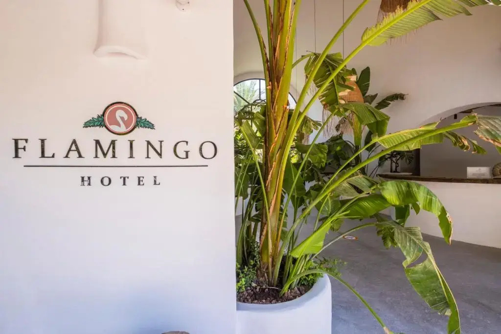 Flamingo Hotel & Spa - Pet Friendly — фото