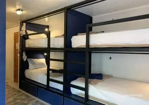 Bed in Dorm