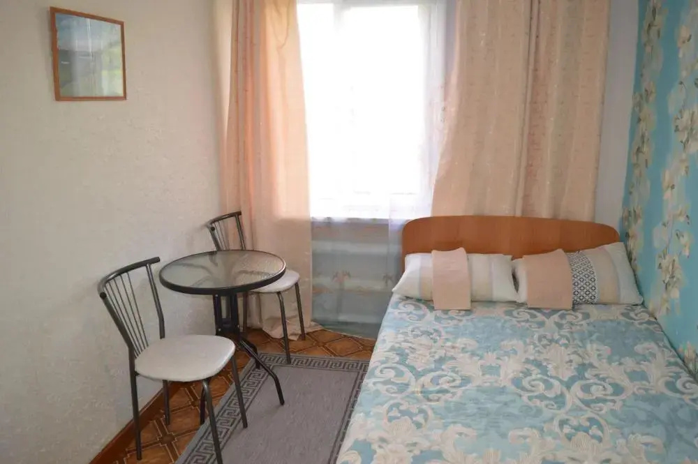Economy Double room (full double bed)