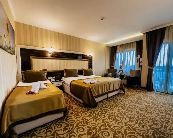 Deluxe Double room (full double bed)