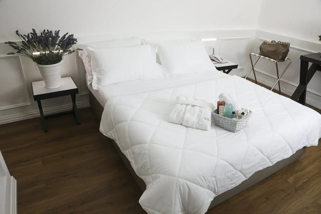 Double Junior Suite (full double bed)
