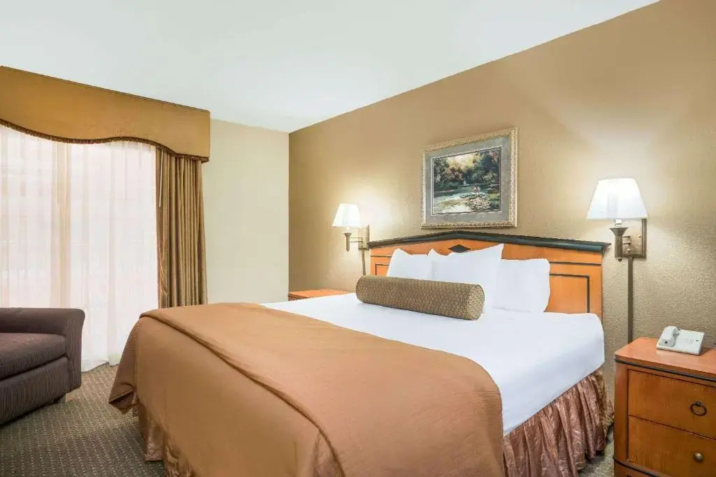 Business Suite