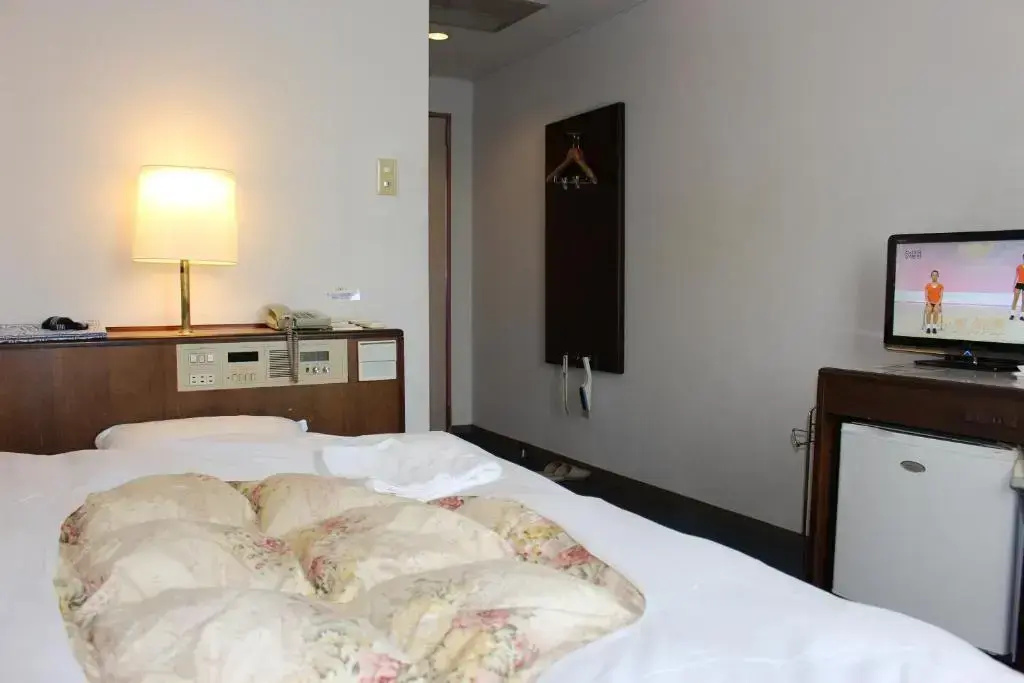 Smoking Single room