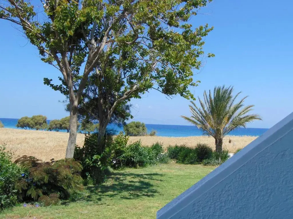 Hotel photo 26