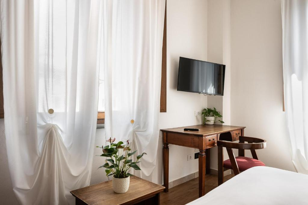 Hotel Verdi Pisa - Général