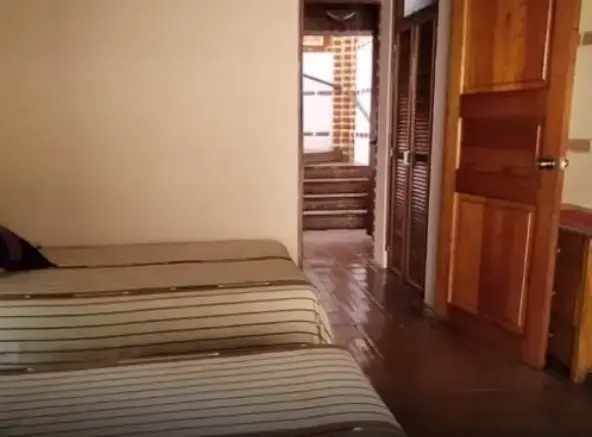 Double room with garden view (twin beds)