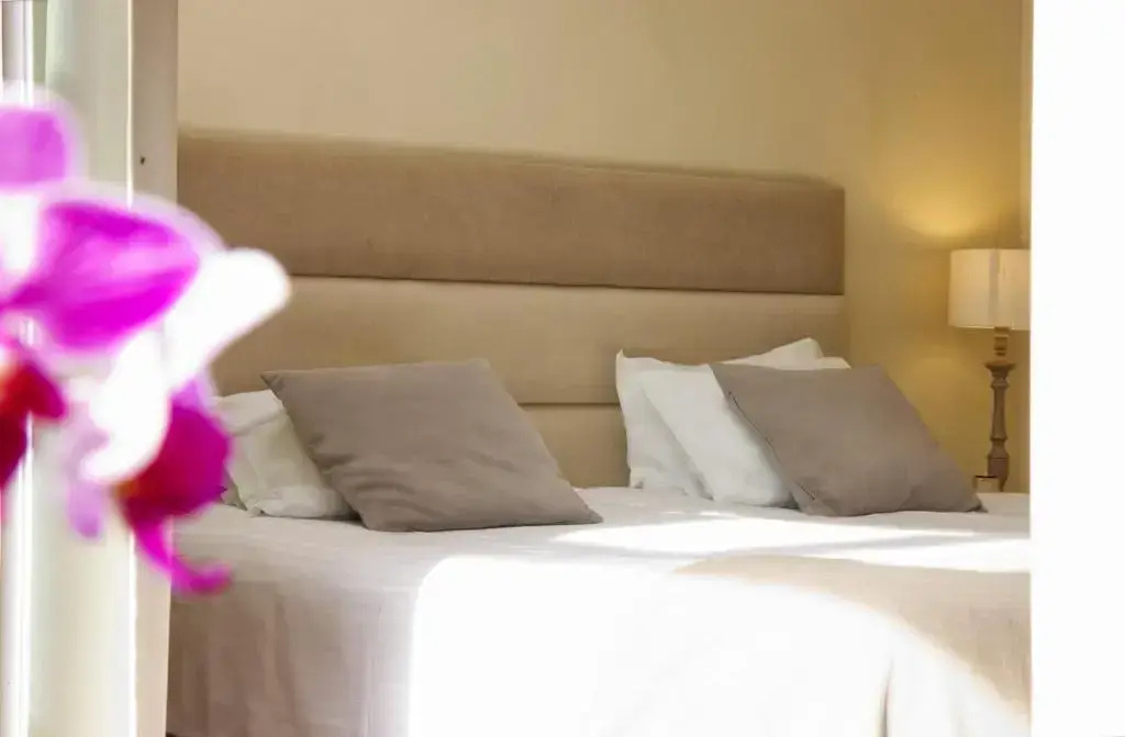 Cegonha Country Club - Chambres