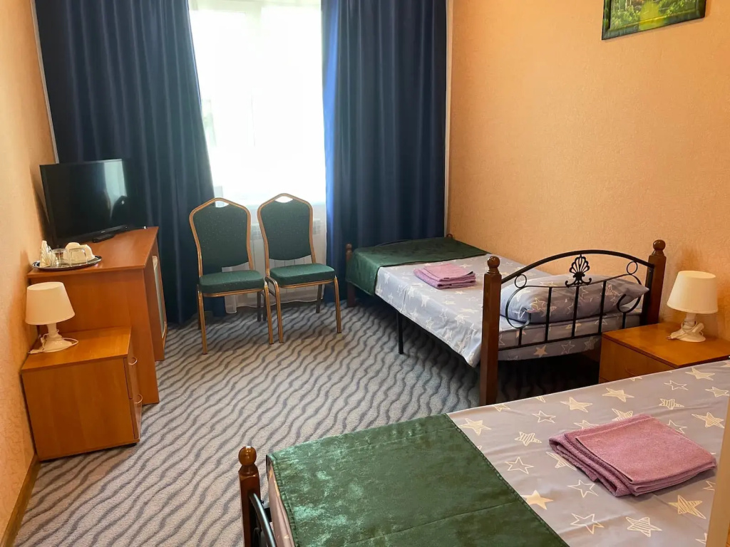 Economy Double room (twin beds)