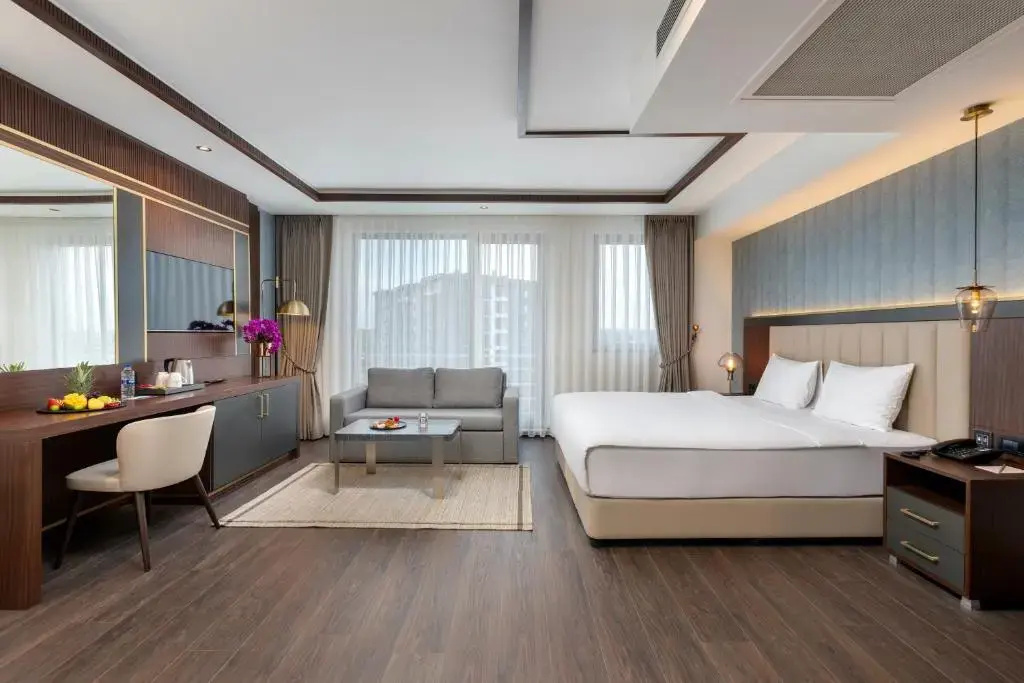 Business Executive Premium Double room, king size bed, full double bed room photo 1