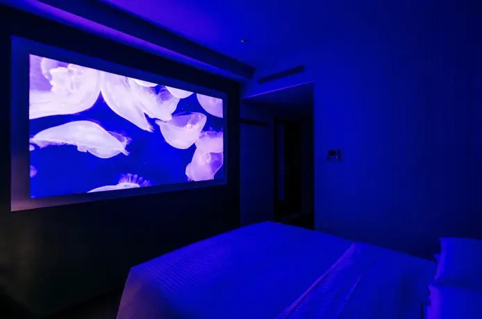 Richmond Hotel Premier Tokyo Schole - Chambres