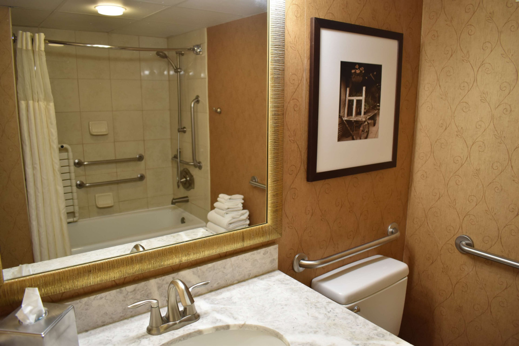 DoubleTree by Hilton Asheville - Biltmore - Chambres