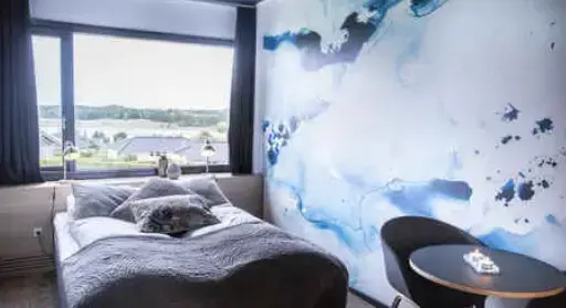 Small Standard Double Plus room (full double bed)