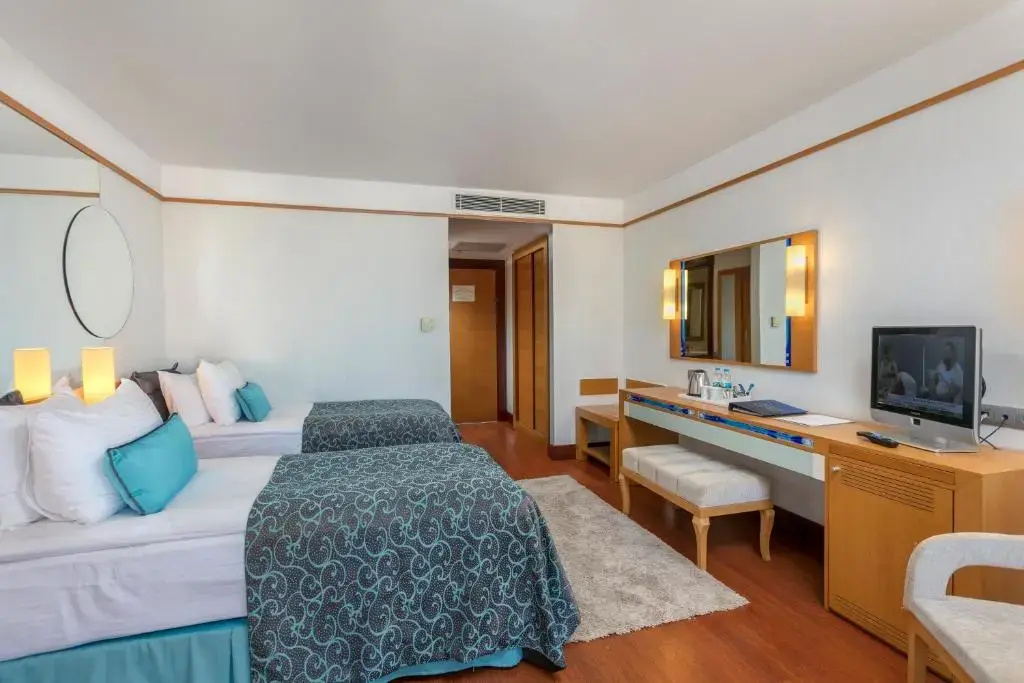 Standard Double room (twin beds)