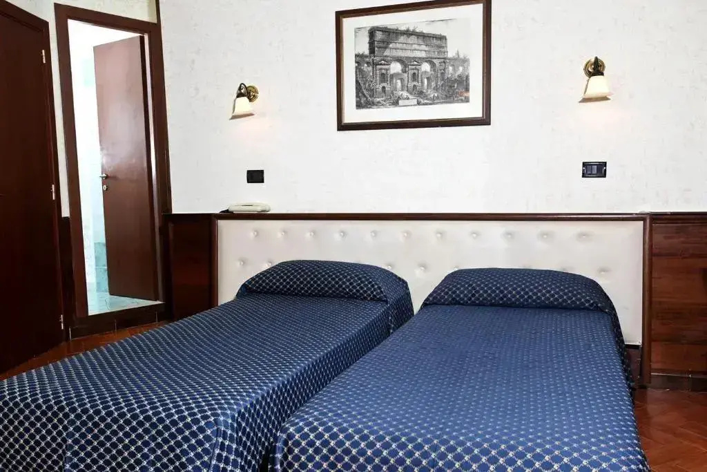 Superior Double room (twin beds)