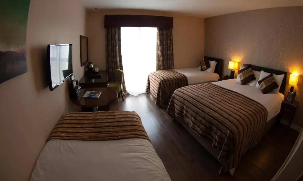 The George Limerick Hotel - Chambres