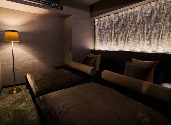 Deluxe Designer's room