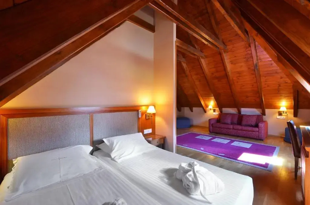 Hotel Acevi Val d'Aran - Général