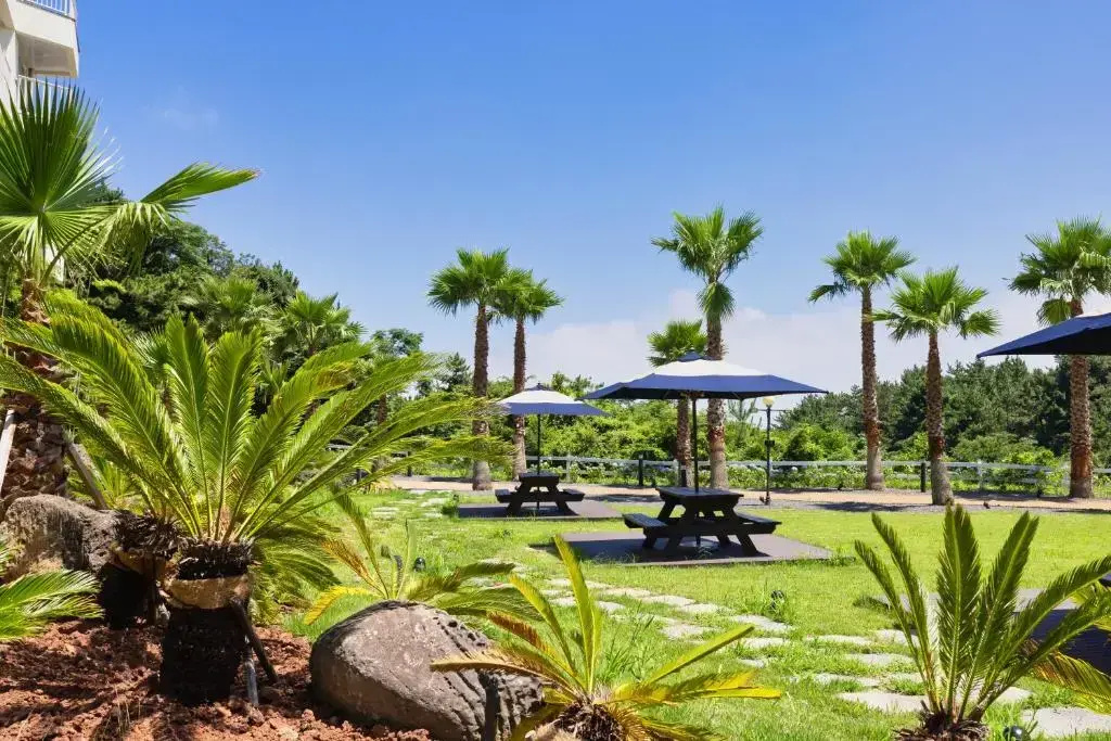 Kensington Resort Jeju Jungmun - Général